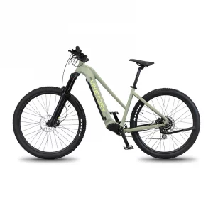ZHEPIR ebike MTB